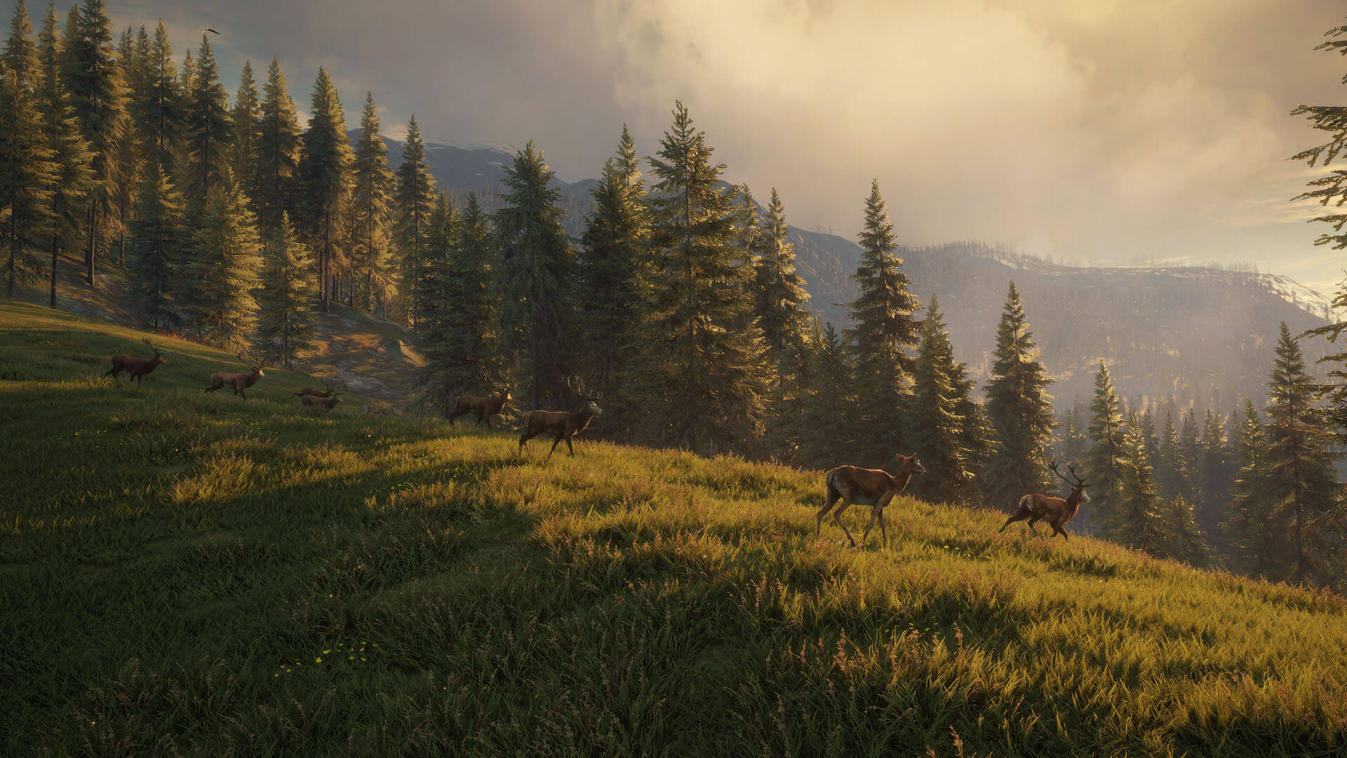 theHunter Call of the Wild Roaming Deer
