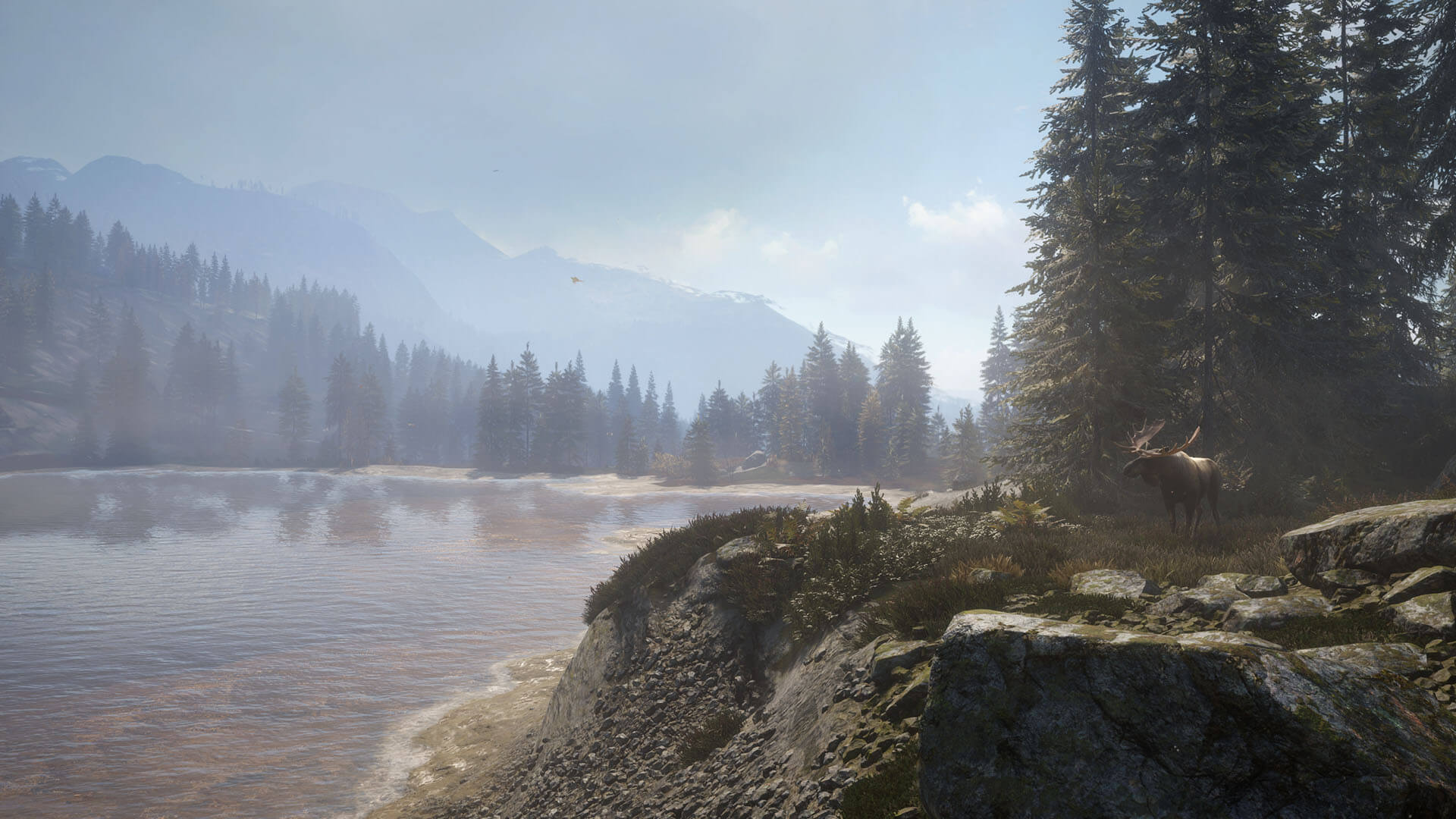 theHunter Call of the Wild Moose