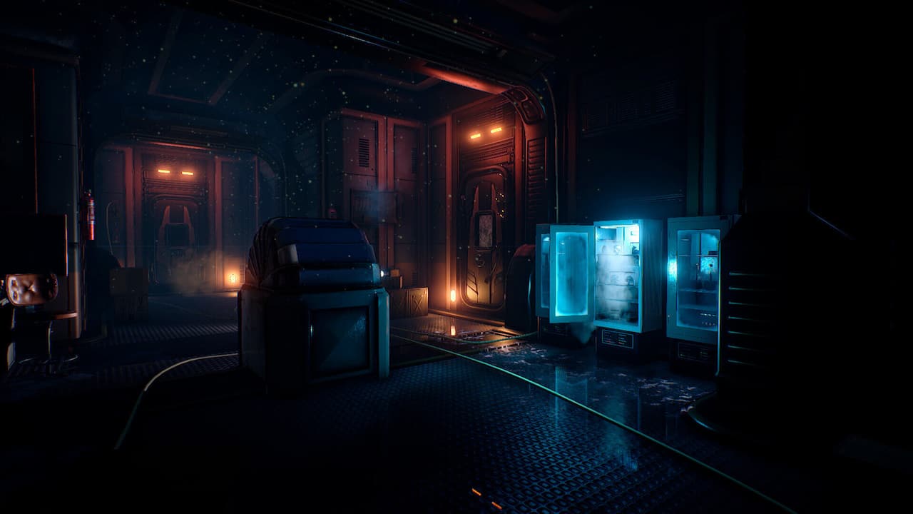 Conarium-cc5fbd2f-a9c8-07a0-a58a-71de62615613