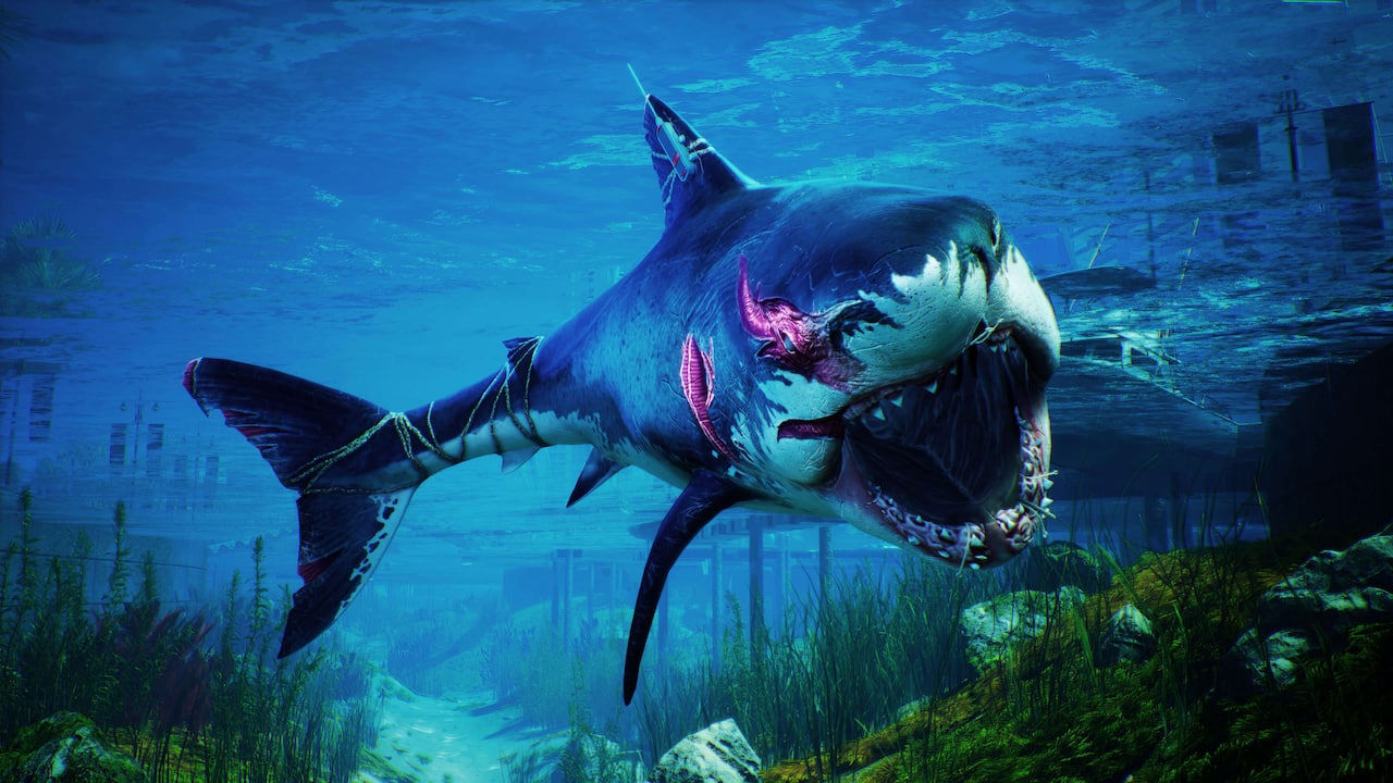 Maneater-3f01ae43-53db-bf49-d072-fb0aa0adad7d
