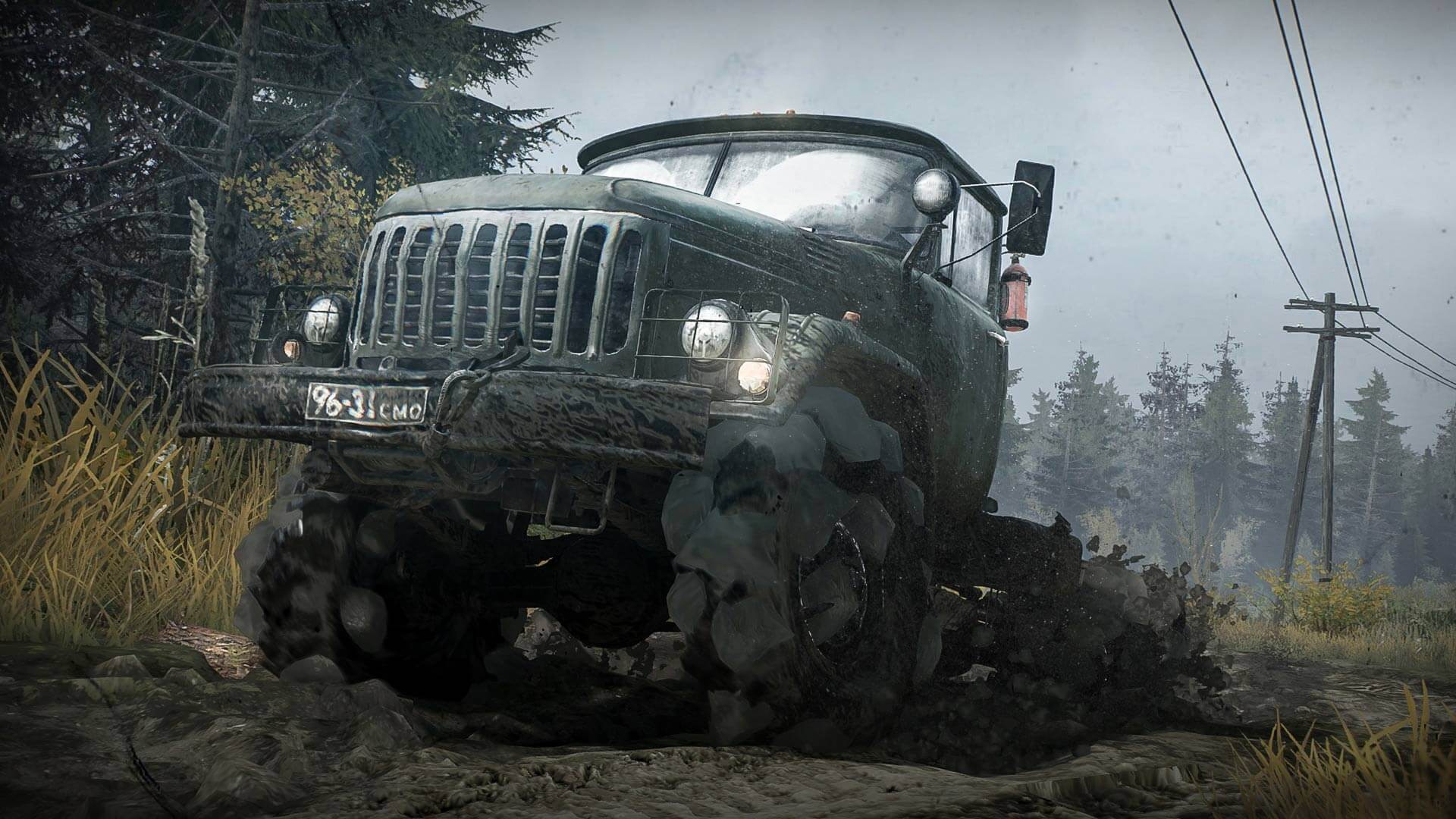 Full Size Image