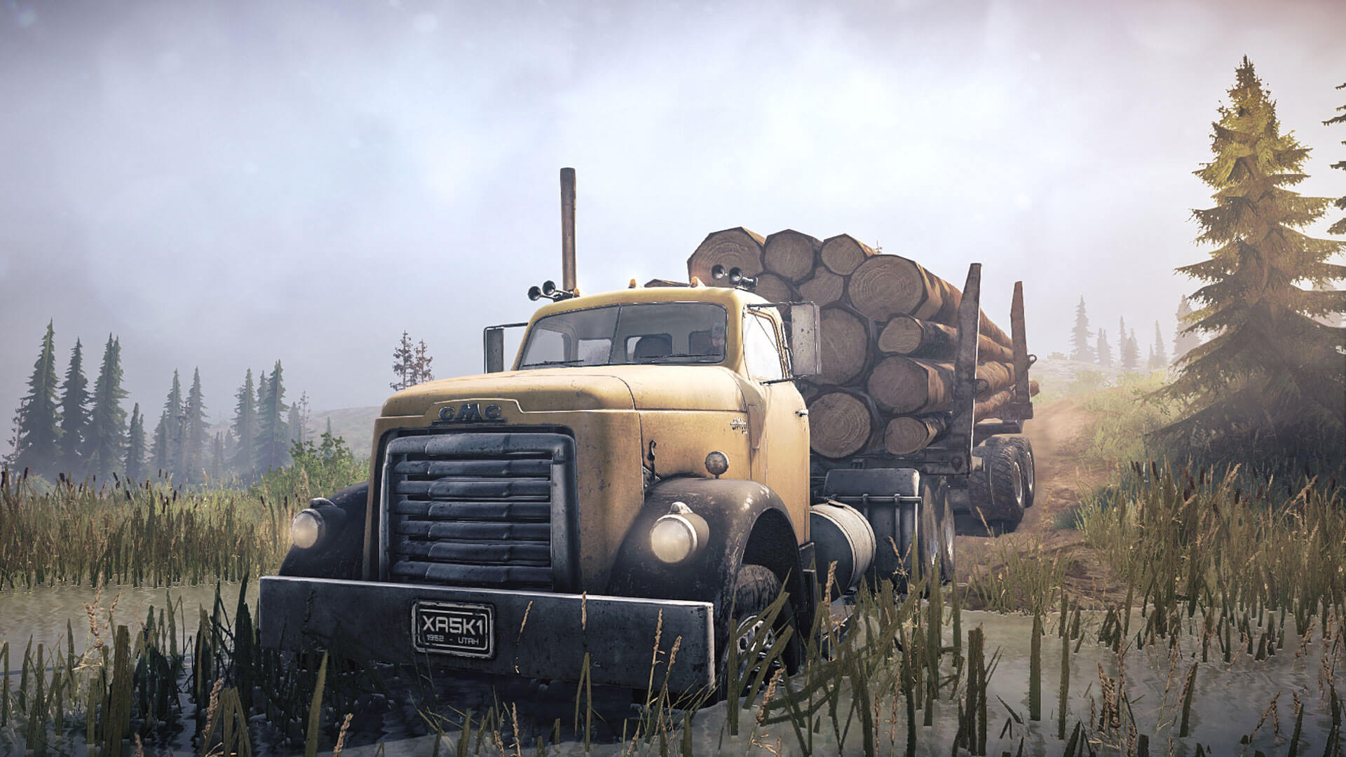 Full Size Image