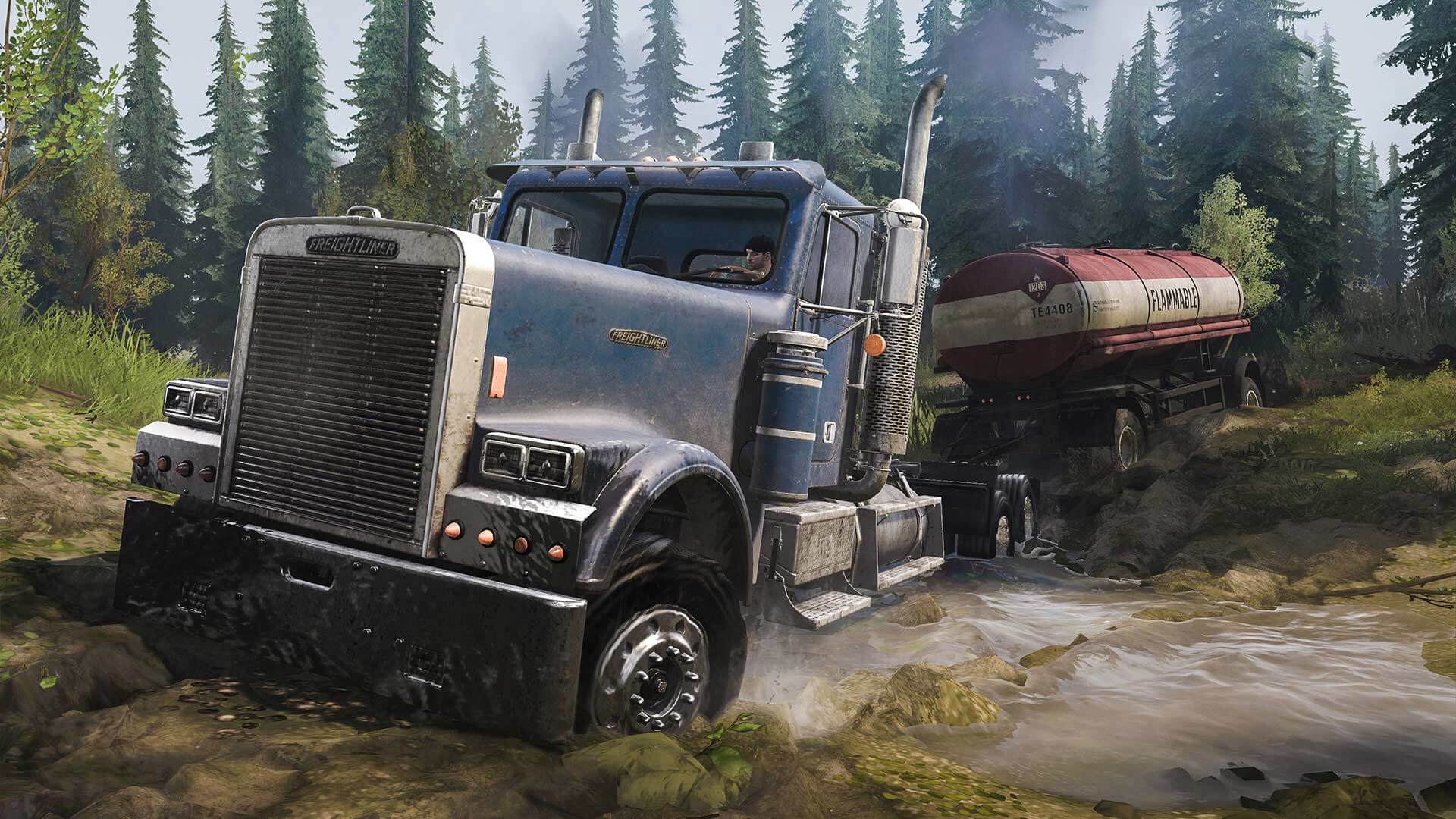 Full Size Image
