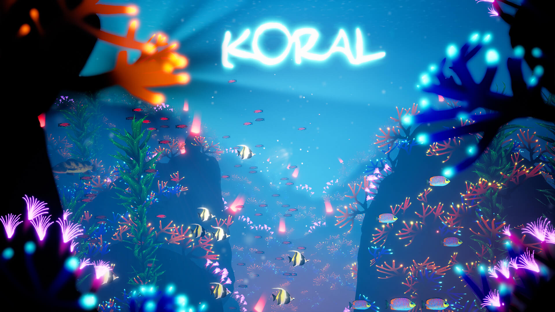 Developer-Interview_Koral_03.jpg