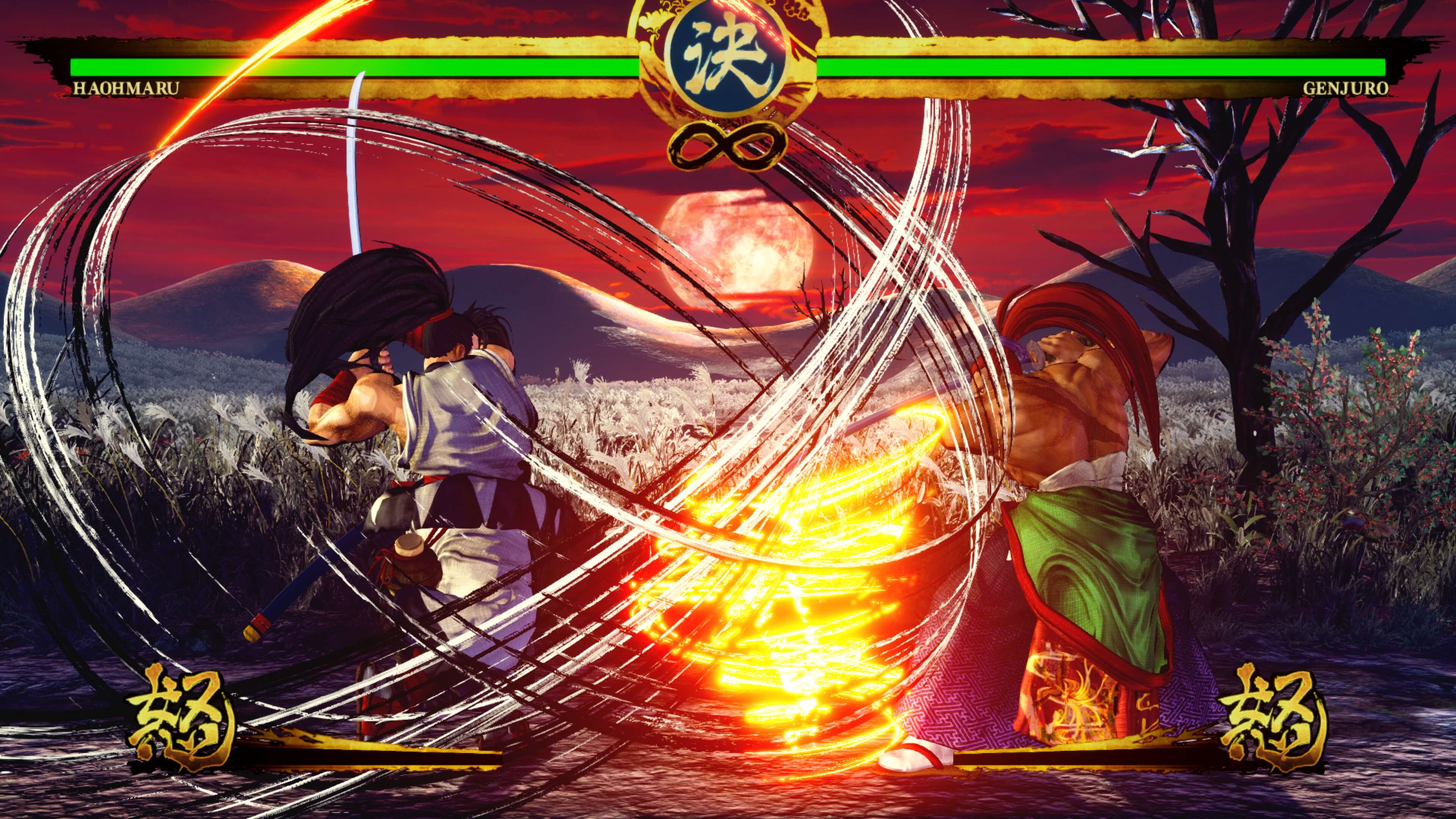 DeveloperInterview_Samurai_Shodown_004.jpg