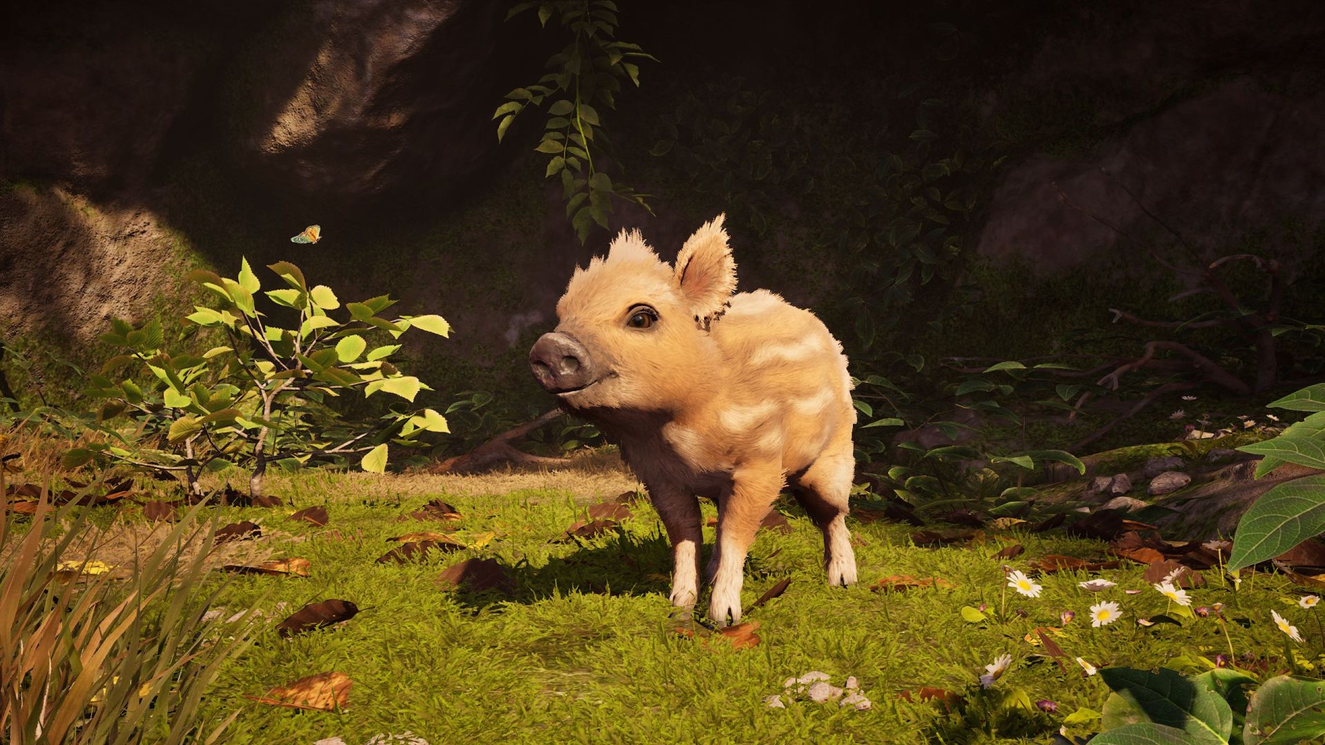 Adorable Adventures 2
