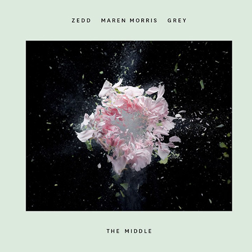 Song Cover of The Middle by Zedd, Maren Morris & Grey