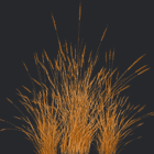 Grass Pack Vol. 1 - Jack McKelvie