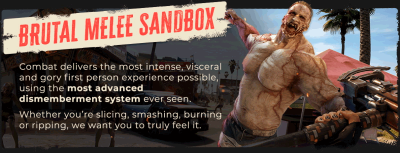 DI2_Epic-About-Page_Slide-2.gif