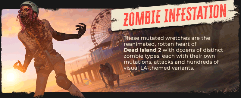 DI2_Epic-About-Page_Slide-3.gif
