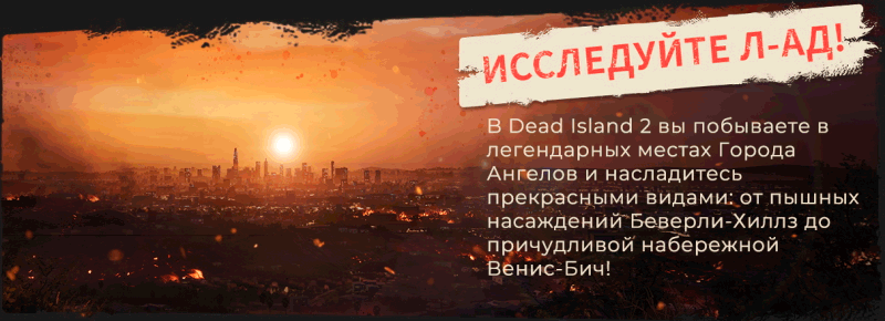DI2_Epic-About-Page_Slide-1.gif