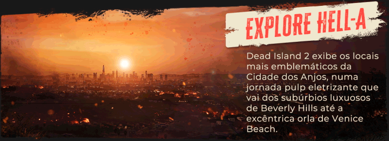 DI2_Epic-About-Page_Slide-1.gif