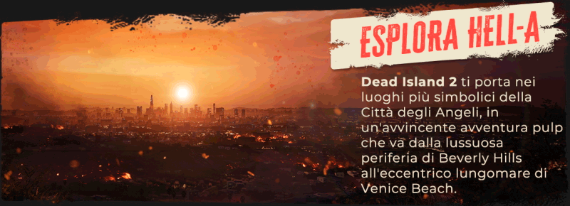 DI2_Epic-About-Page_Slide-1.gif