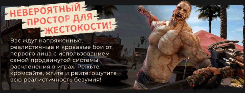 DI2_Epic-About-Page_Slide-2.gif