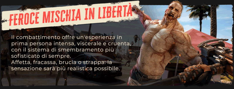 DI2_Epic-About-Page_Slide-2.gif