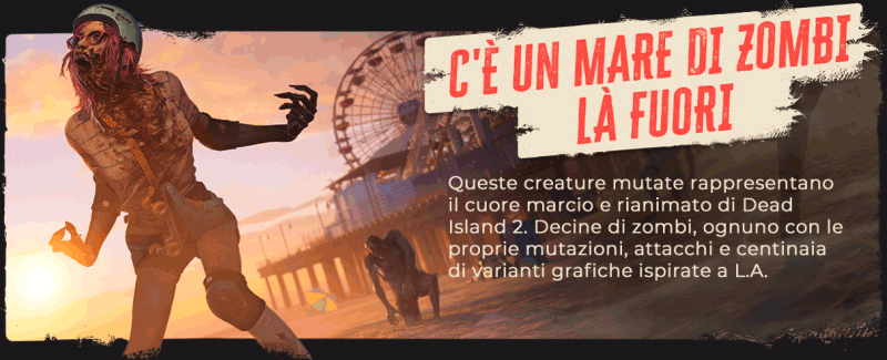 DI2_Epic-About-Page_Slide-3.gif