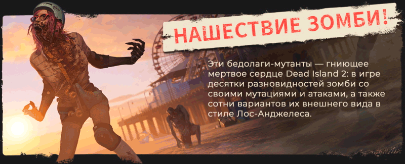 DI2_Epic-About-Page_Slide-3.gif