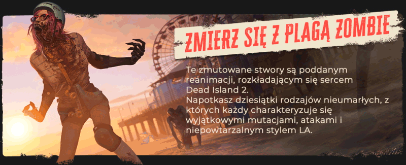DI2_Epic-About-Page_Slide-3.gif