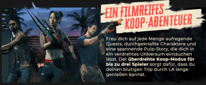 DI2_Steam-About-Page_Slide-5.gif
