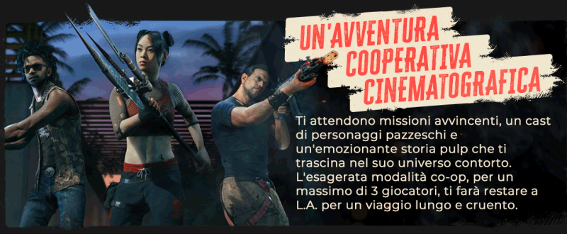 DI2_Epic-About-Page_Slide-5.gif