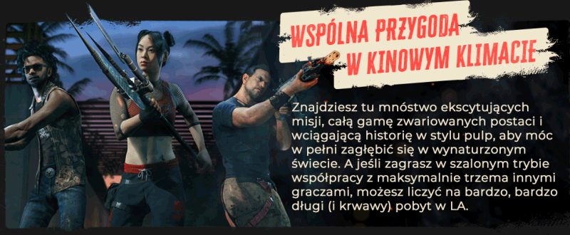 DI2_Epic-About-Page_Slide-5.gif