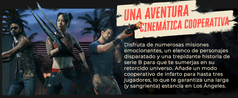 DI2_Epic-About-Page_Slide-5.gif