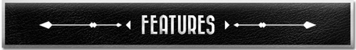 FEATURES