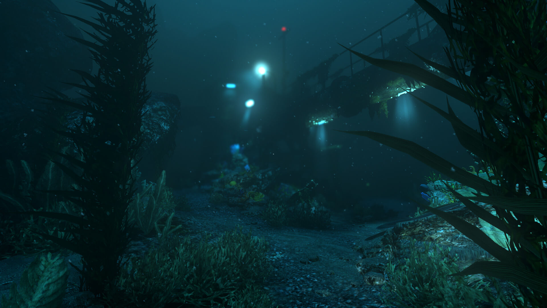 SOMA-537301