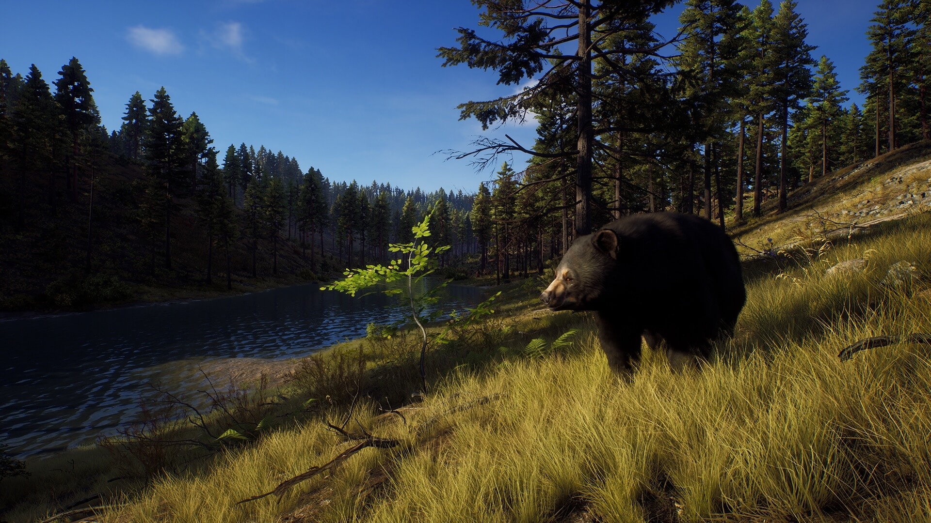 Way of the Hunter-755962