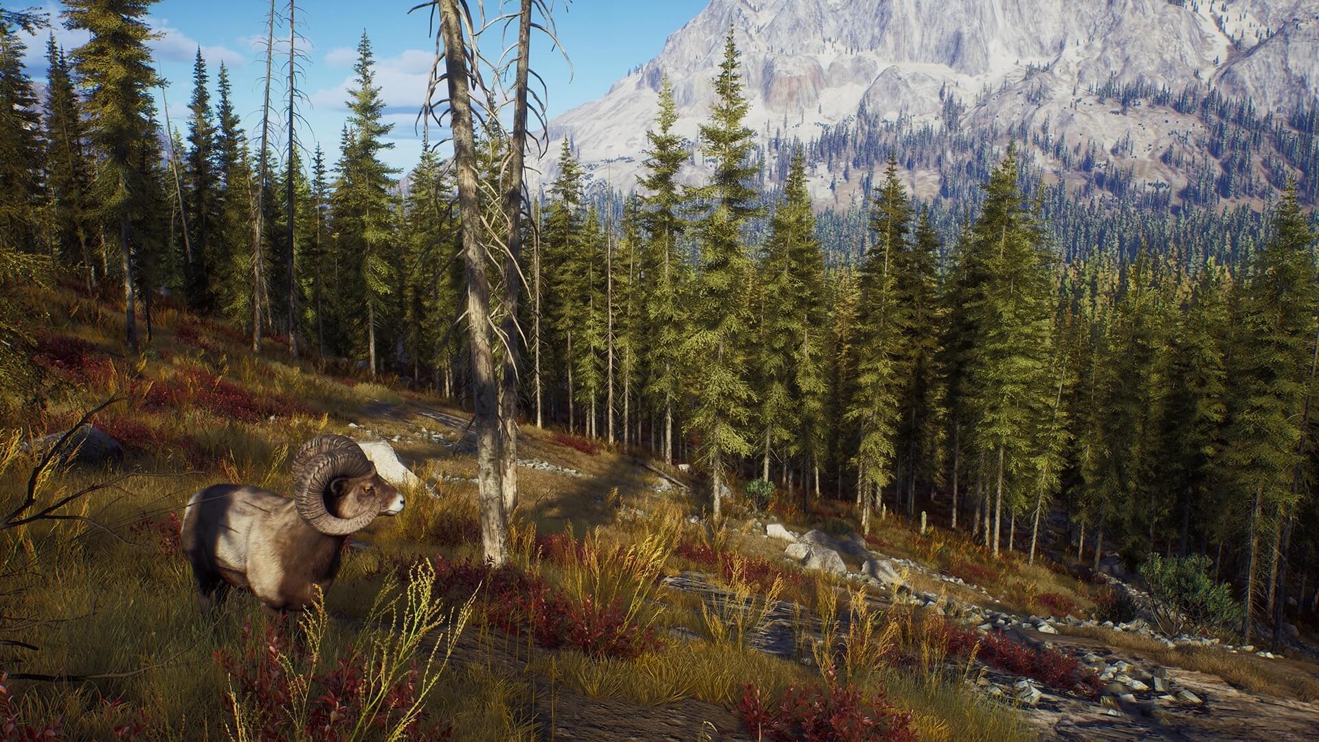 Way of the Hunter-604222