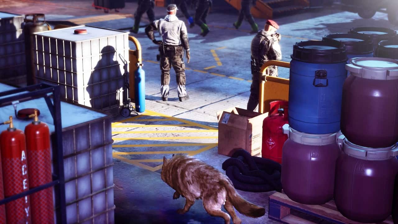 Carousel slide 5
