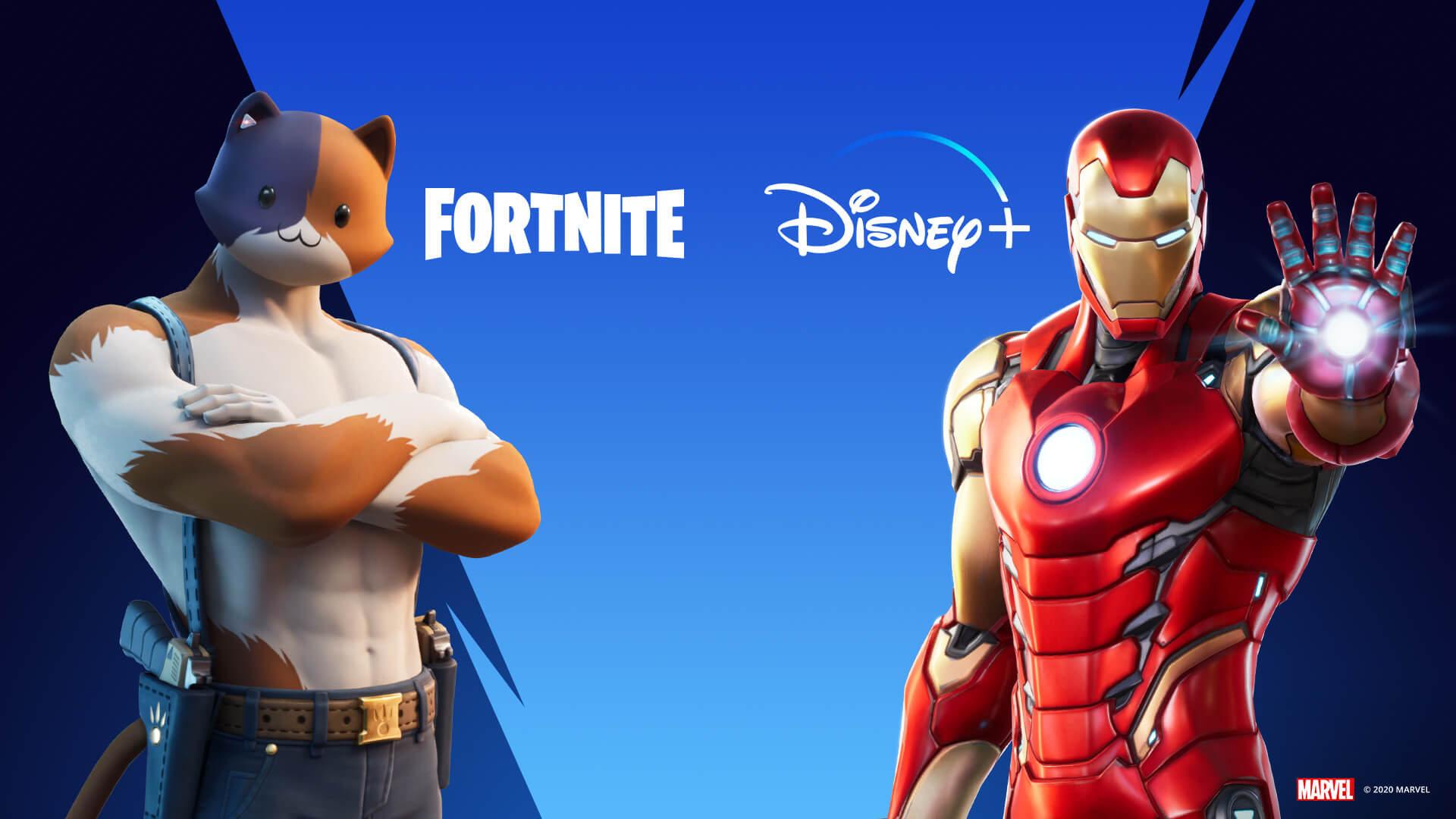 Fortnite Disney Plus Promotion