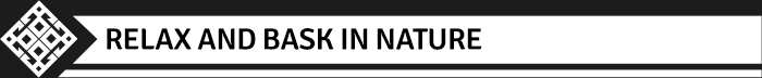 Banner1
