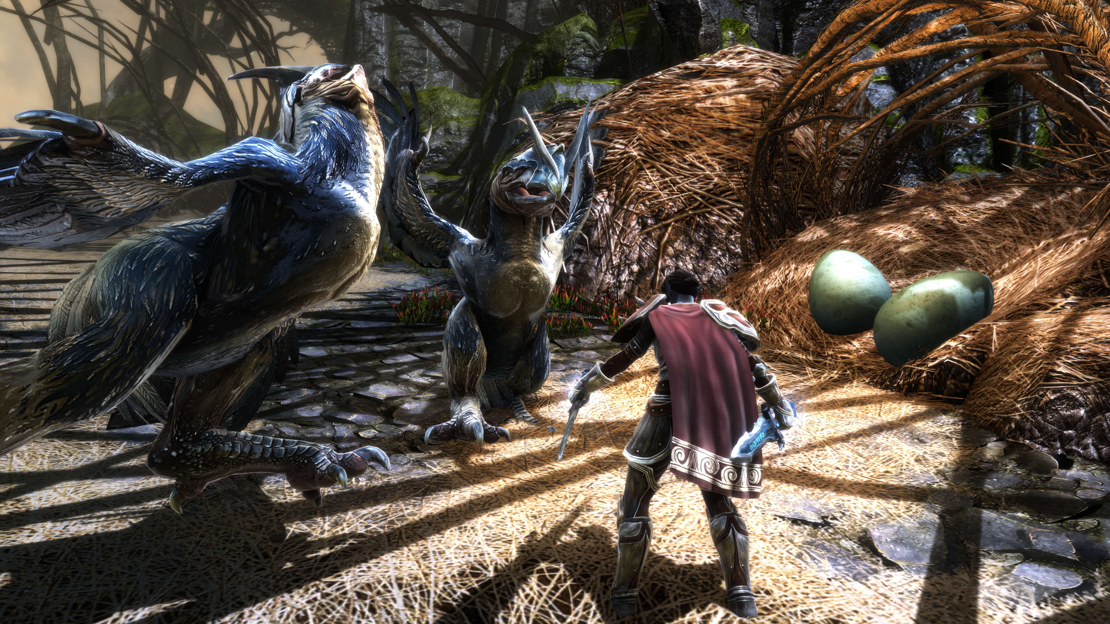 Kingdoms of Amalur: Re-Reckoning screenshot 10