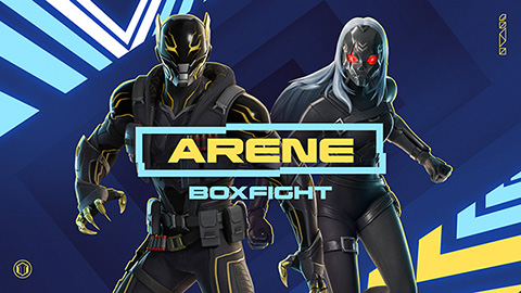Arene Boxfights