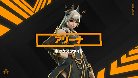 アリーナ ボックスファイト