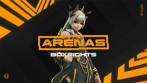 Arenas Boxfights