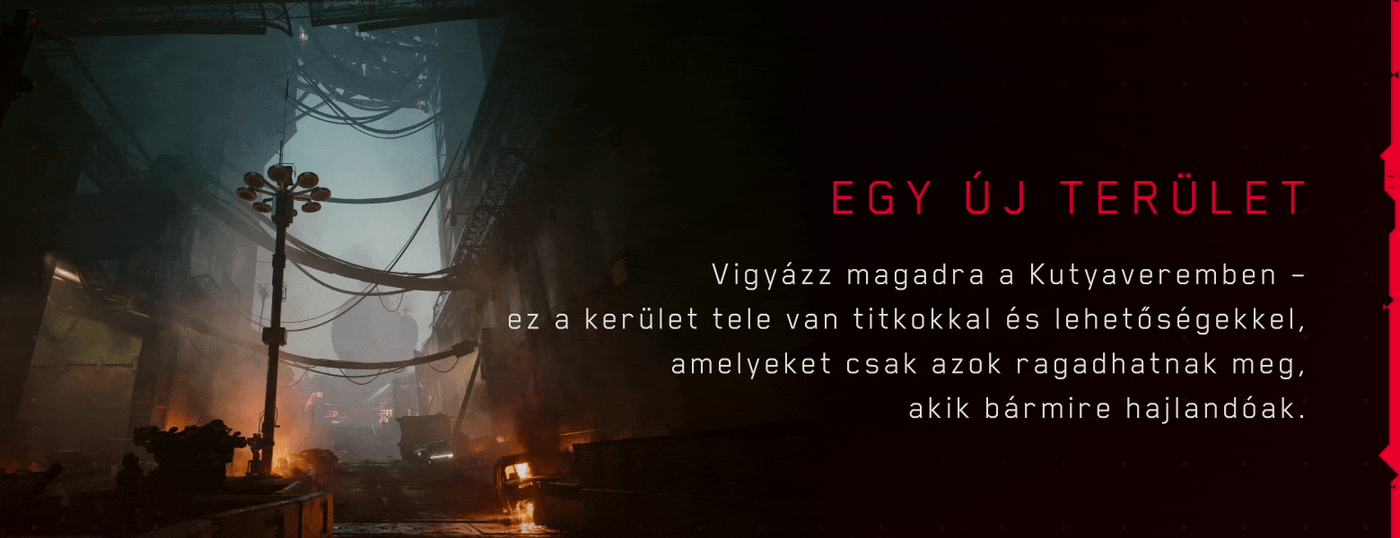 Egy új terület – Dogtown