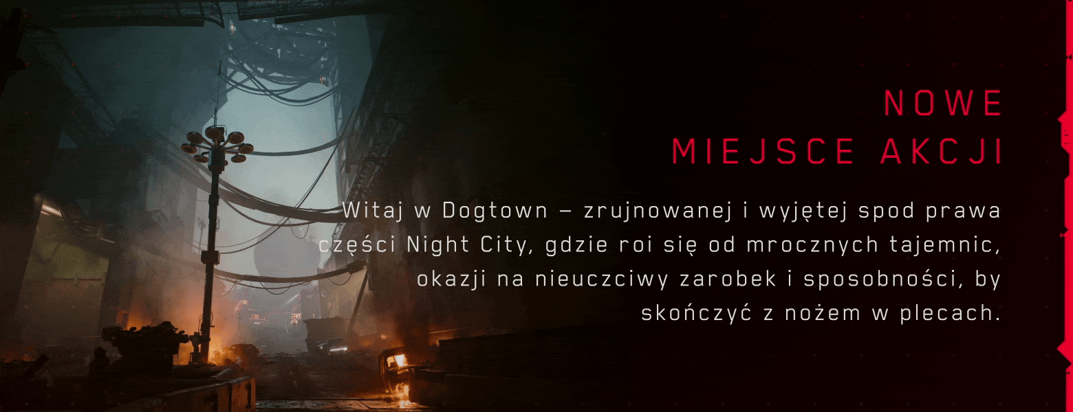 A New Area - Dogtown