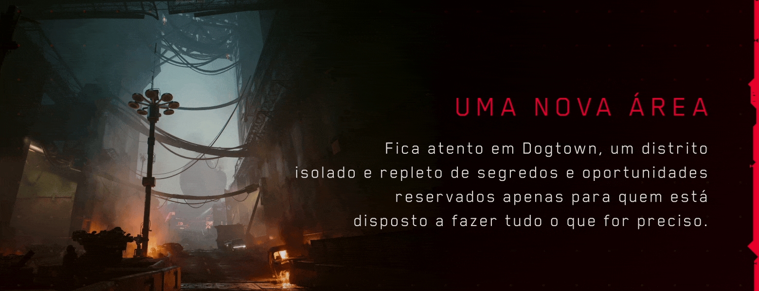 Uma nova zona: Dogtown