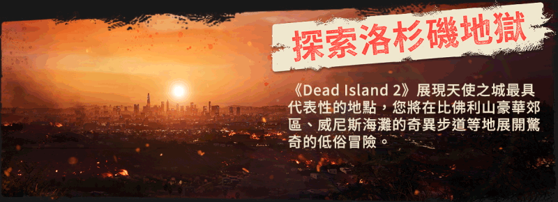 DI2_Epic-About-Page_Slide-1.gif