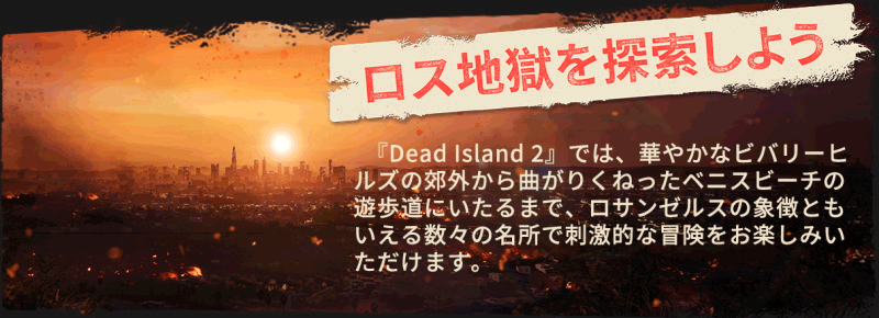 DI2_Epic-About-Page_Slide-1.gif