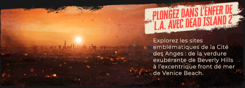 DI2_Epic-About-Page_Slide-1.gif