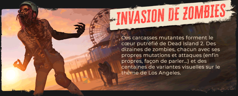 DI2_Epic-About-Page_Slide-3.gif