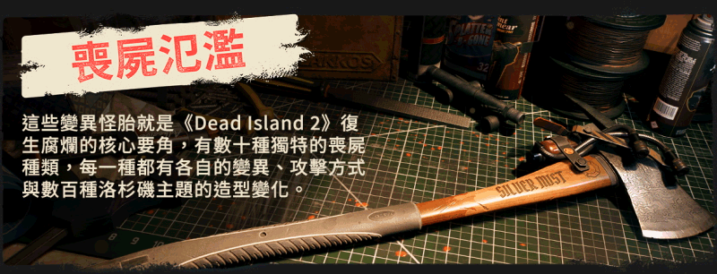 DI2_Epic-About-Page_Slide-4.gif