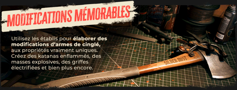 DI2_Epic-About-Page_Slide-4.gif
