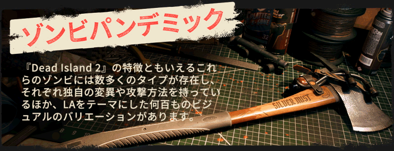 DI2_Epic-About-Page_Slide-4.gif