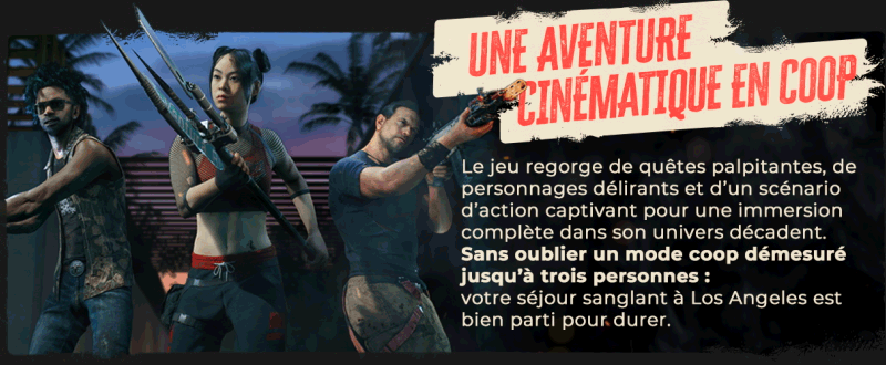 DI2_Epic-About-Page_Slide-5.gif